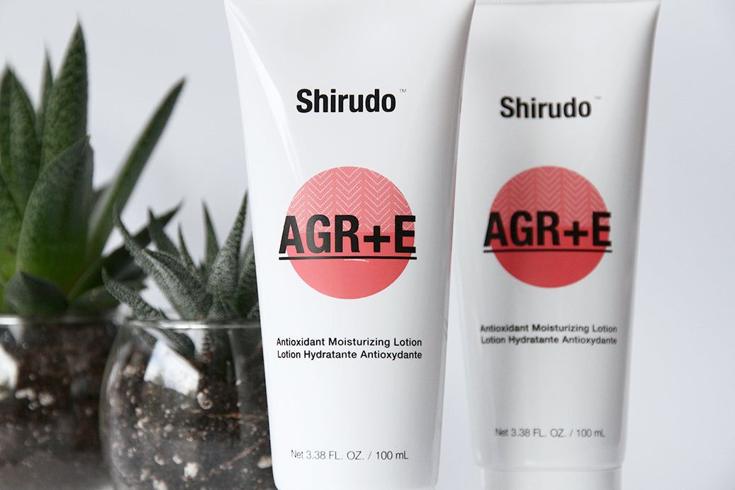 How to get the most out of Shirudo AGR+E ?